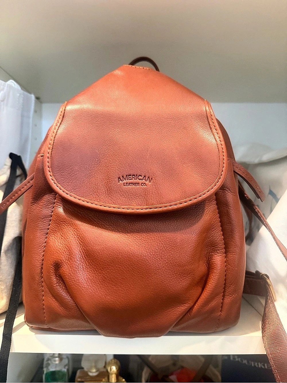American Leather Backpack in Brown